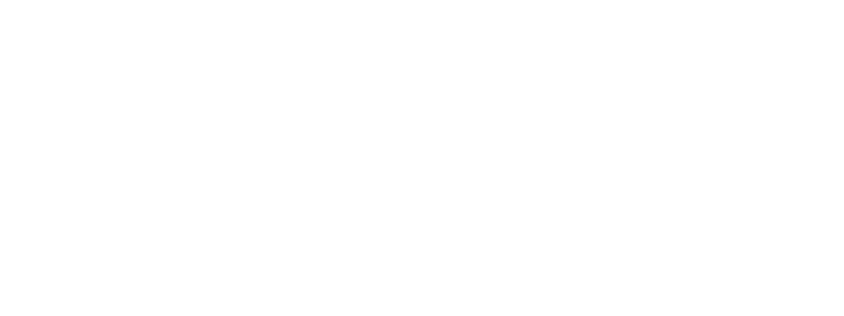 Echo Logo